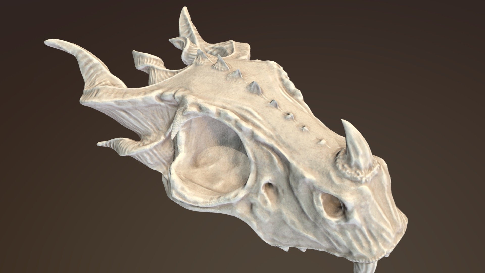 done for practice - Dragon Skull - 3D model by emilymeganx 3d model