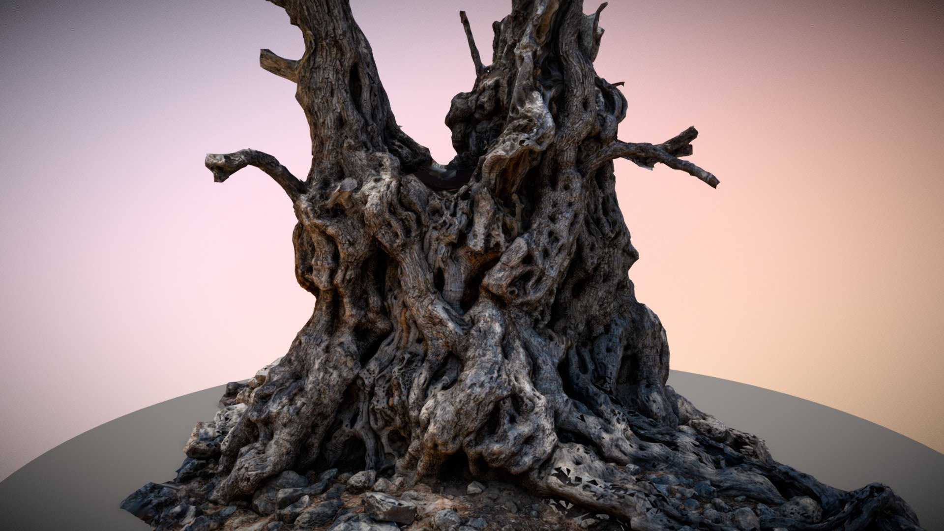 Lissos Ancient Olive Tree - Buy Royalty Free 3D model by Vasilis Triantafyllou (@trelobyte) 3d model