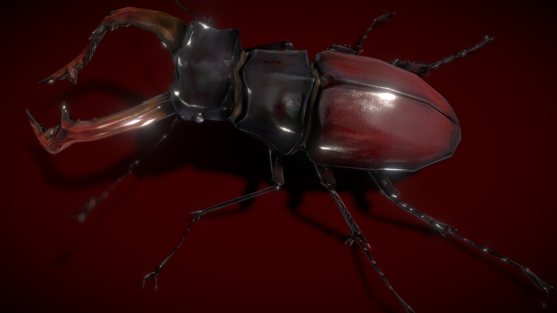 Realistic model of Stag Beetle. Suitable for use in advertising, design visualization, forensic presentation, film, animated movie, game cut scenes, etc.

Model created using 2dsmax and converted to 3Dmax, OBJ formats.  Topology optimized for smooth




Stag Beetle: 1348 polys , 2100 Tris

Included texture maps: Color/diffise 1024X1024 Bump 1024X1024 Specula 1024X1024 Reflectivity 1024X1024
 - Stag Beetle Lowpolys 3D - Buy Royalty Free 3D model by vustudios 3d model