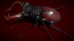 Stag Beetle Lowpolys 3D assets, bug, beetle, stag, low-poly-game-assets, animal