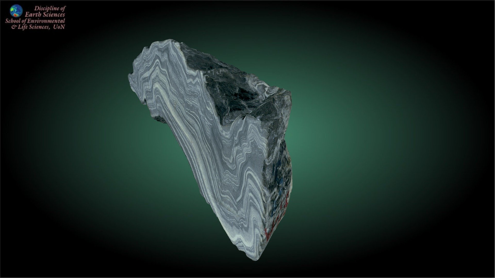 This specimen is probably better termed a &lsquo;phyllitic schist'.  The fabric being folded here is a schistosty and the rock has undergone grain size reduction during the folding.  The folds present are &lsquo;similar' folds that are strongly non-cylindrical.  There is also a secondary spaced axial planar cleavage present in the fold hinges 3d model