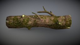 Mossy log tree, plant, ao, log, maple, pine, prop, gamedesign, bark, nature, moss, mossy, treelog, roughness, substancepainter, substance, asset, blender, wood, free, environment, mossylog, withmaterial