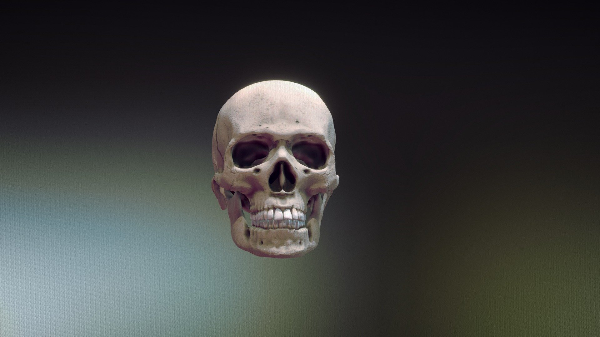 https://www.artstation.com/artist/martinjario - Skull downloadable - Download Free 3D model by martinjario 3d model