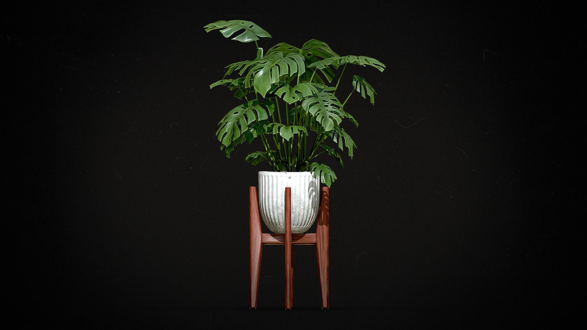 Potted Monstera Deliciosa with a Mid-Century pot-stand. Game-ready and optimized for realtime use.

Please give appropriate credit when used. Don't re-upload or resell this model.

If you used this model somewhere in a project I would love to see it! Send me your projects via email at giora.nohl@web.de if you want! :) - Monstera Deliciosa Potted Mid-Century ( free ) - Download Free 3D model by Pandurus (@ChubbyPanda) 3d model