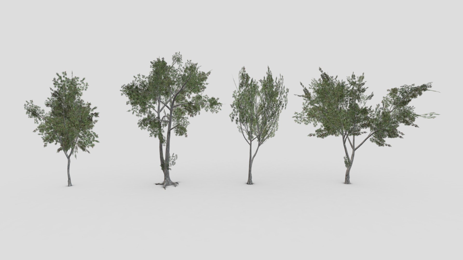 This is a low poly 3D Model collection of the Conocarpus Tree. I tried to provide you  a low poly  collection of the Conocarpus Tree you can use that in your projects 3d model