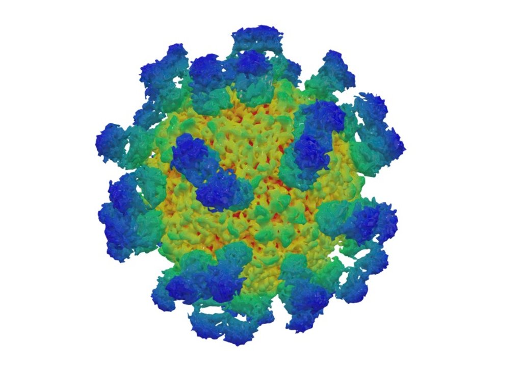 EMDB › EMD-6366

http://emsearch.rutgers.edu/atlas/6366_summary.html

Single particle reconstruction 

4.8Å resolution

The cryoEM map of EV71 mature viron in complex with the Fab fragment of antibody D5

Map released: 2016-02-10

Overview of EMD-6366

Source organisms:

Human enterovirus 71 [39054]

Homo sapiens [9606]

Fitted atomic model: 3jau

Related in-frame EM entries: EMD-6365, EMD-6383, EMD-6384

To be published - EMD-6366 - 3D model by Interactive 3D Data (@proteinsimulation) 3d model