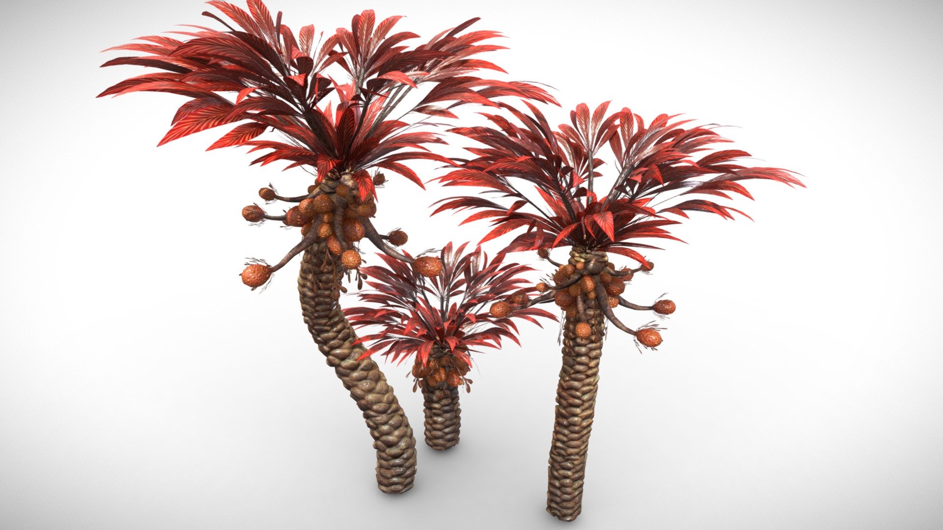These meshes contain 2 UV Maps with 4096x4096 textures, and are optimized for videogames.
The leaf meshes have been cut around transparency to reduce overdraw of the opacity channel.

Textures are the following:




Diffuse

Roughness

Normal Map

Opacity

Separate FBX Files are included upon purchase - Alien Fantasy Plant - Date Tree - Buy Royalty Free 3D model by Davis3D 3d model