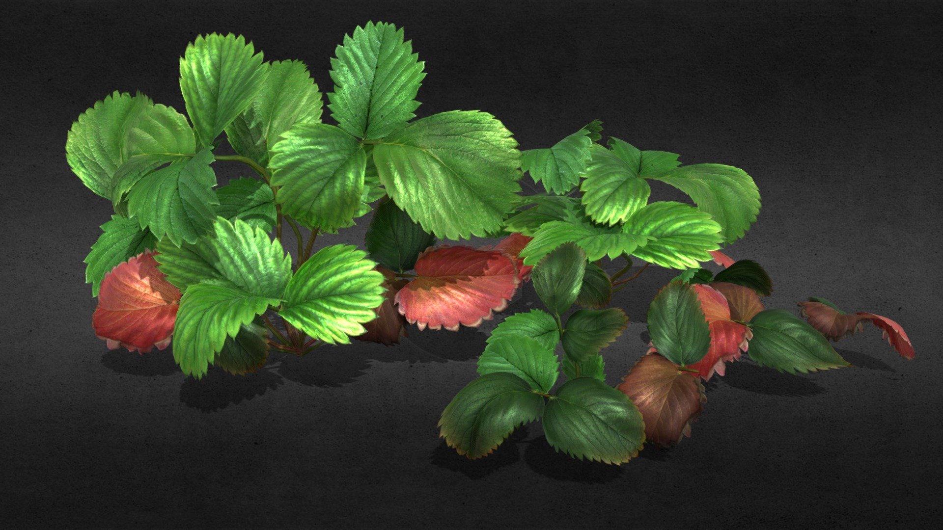 Strawberry leaves - skinned, animatable. Complex bones, subdiv model 3d model