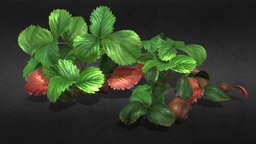 Strawberry leaves plant, detailed, hipoly, anim, photoreal, strawberry, subdiv, high-quality, skinned, leaves, rigged