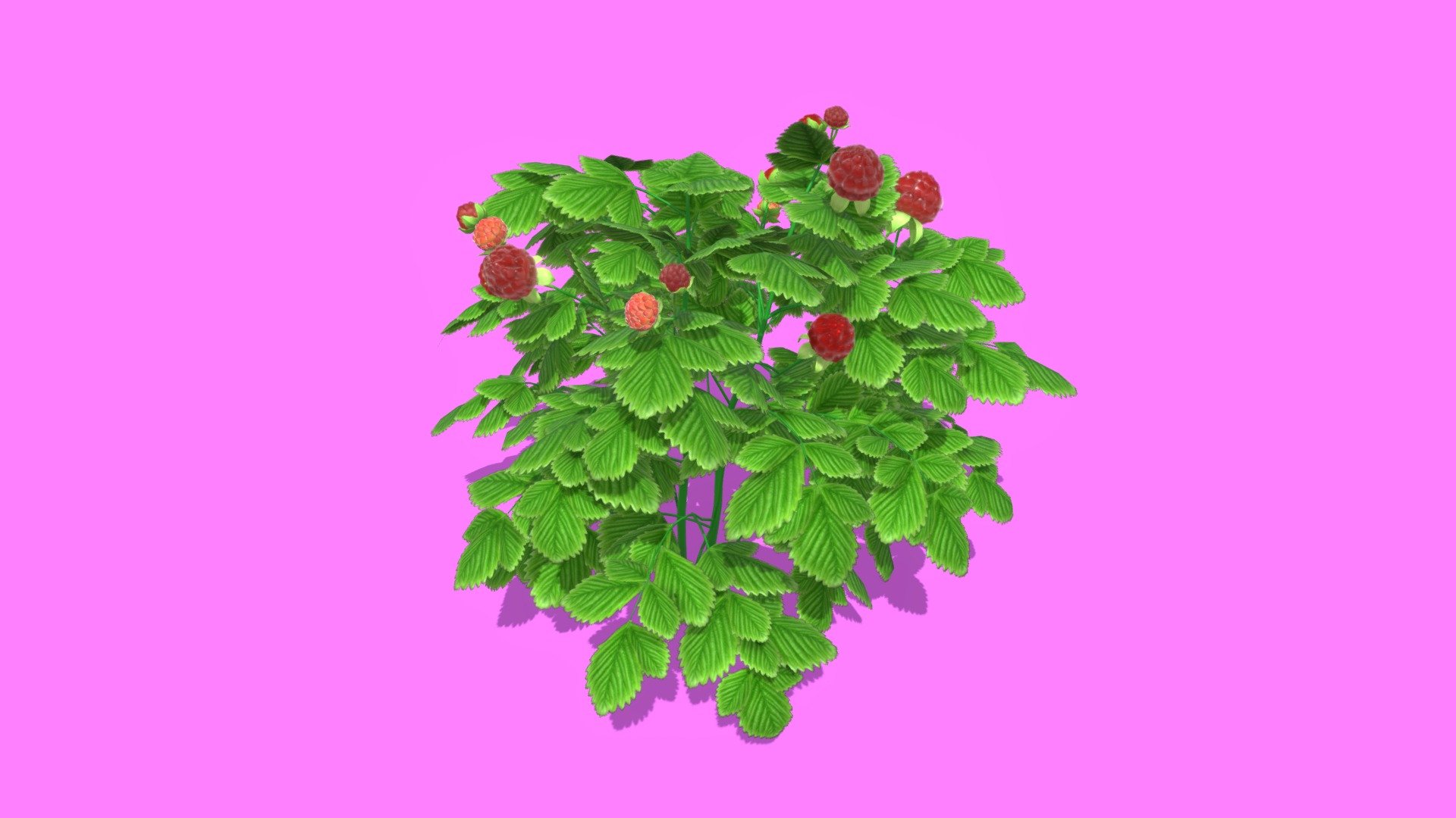 berry tree - Buy Royalty Free 3D model by gohean33 3d model