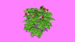 berry tree tree, plant, fruit, strawberry