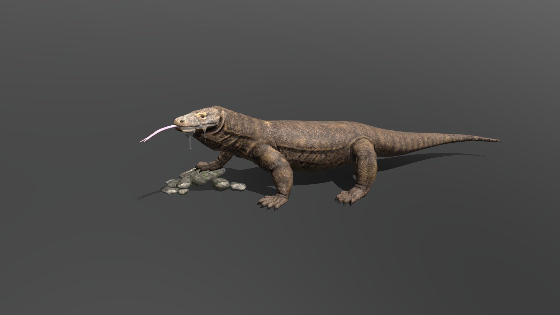 here is my newly low poly komodo dragon model which is created in maya and then sculpt in zbush and texture is also done in zbush - komodo dragon - 3D model by kishorsarkar 3d model