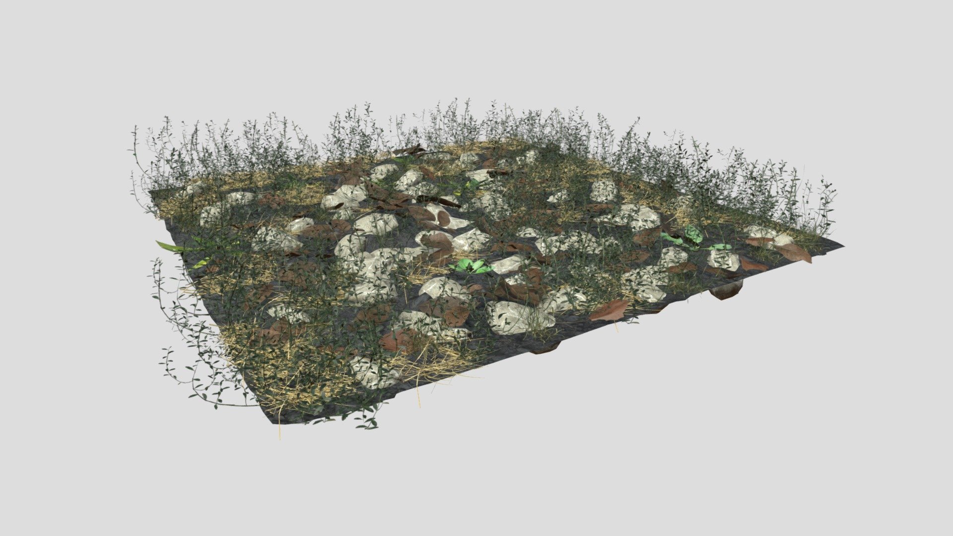 Hi all,

This is PBR knotweed meadow patch created in Blender in real world scale (100cm x 100cm). It includes 8 different models:

soil (3D scanned)

knotweed

dry walnut leaves

narrow leaf plantain

dry grass

plantain

perennial ryegrass

rocks

It comes in following formats:

.blend

.fbx

.obj

.dae

The blender file has the shaders set up, so it's ready to render using Cycles. The title image is not included.

Each model comes with set of 4K .png maps:

base color

roughness

normal

opacity

translucency

ambient occlusion - Knotweed Meadow Patch - Buy Royalty Free 3D model by kambur 3d model