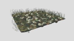 Knotweed Meadow Patch dae, plant, forest, grass, organic, rocks, cover, ground, pack, obj, leaf, 4k, foliage, patch, fbx, realistic, nature, dry, png, meadow, soil, blender, pbr, knotweed