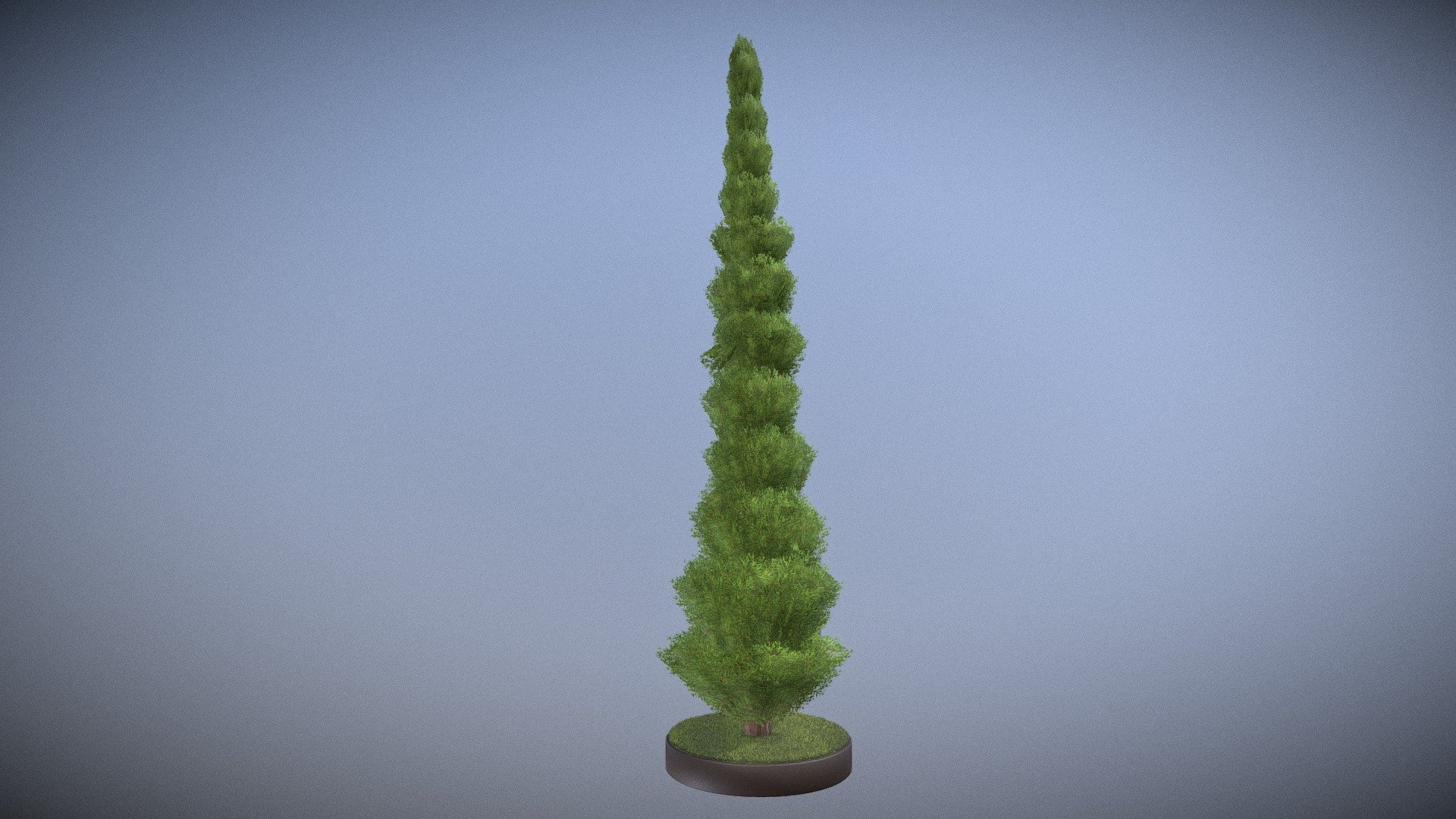 Here is a 8 meter high cypress for your garden scene or house visualization project.





Textures(4k):


Color map
Mask texture for the transparency
Normal map


Here on Sketchfab you can view or purchase some of our 3d-models which we are using in our projects for VIS-All.

The model was created by 3DHaupt for the Software-Service John GmbH.

3D-Model was modelled and textured in blender.
 - Cypress - Version 11 - 8 Meter - Buy Royalty Free 3D model by VIS-All-3D (@VIS-All) 3d model