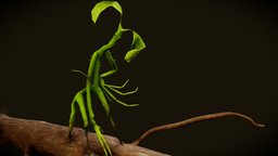 Pickett animation Fantastic Beasts to, and, fantastic, harry, potter, where, beasts, harrypotter, jkrowling, find, them, bowtruckle, fantasticbeastsandwheretofindthem, pickett, tongueout, thewizardingworldofharrypotter, substance, painter, blender, animation