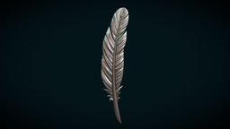 Feather txt anatomy, bird, wings, angel, relief, feather, haven, art