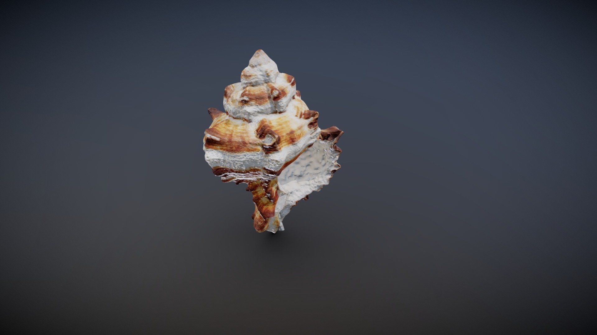 4096x4096 diffuse map
4096x4096 normal map - Shell photoscan - 3D model by Veaceslav Condraciuc (@FLED) 3d model