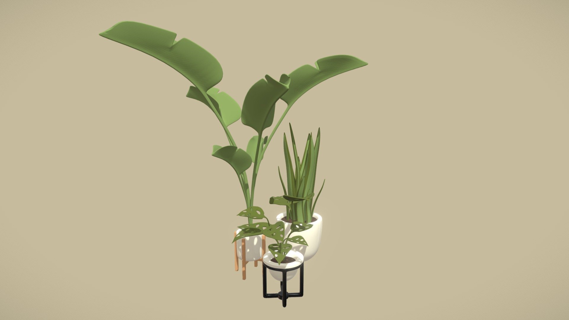 3 simple houseplants for the weekly challenge - 3 cute houseplants - 3D model by Citron Vert (@citron.vert) 3d model
