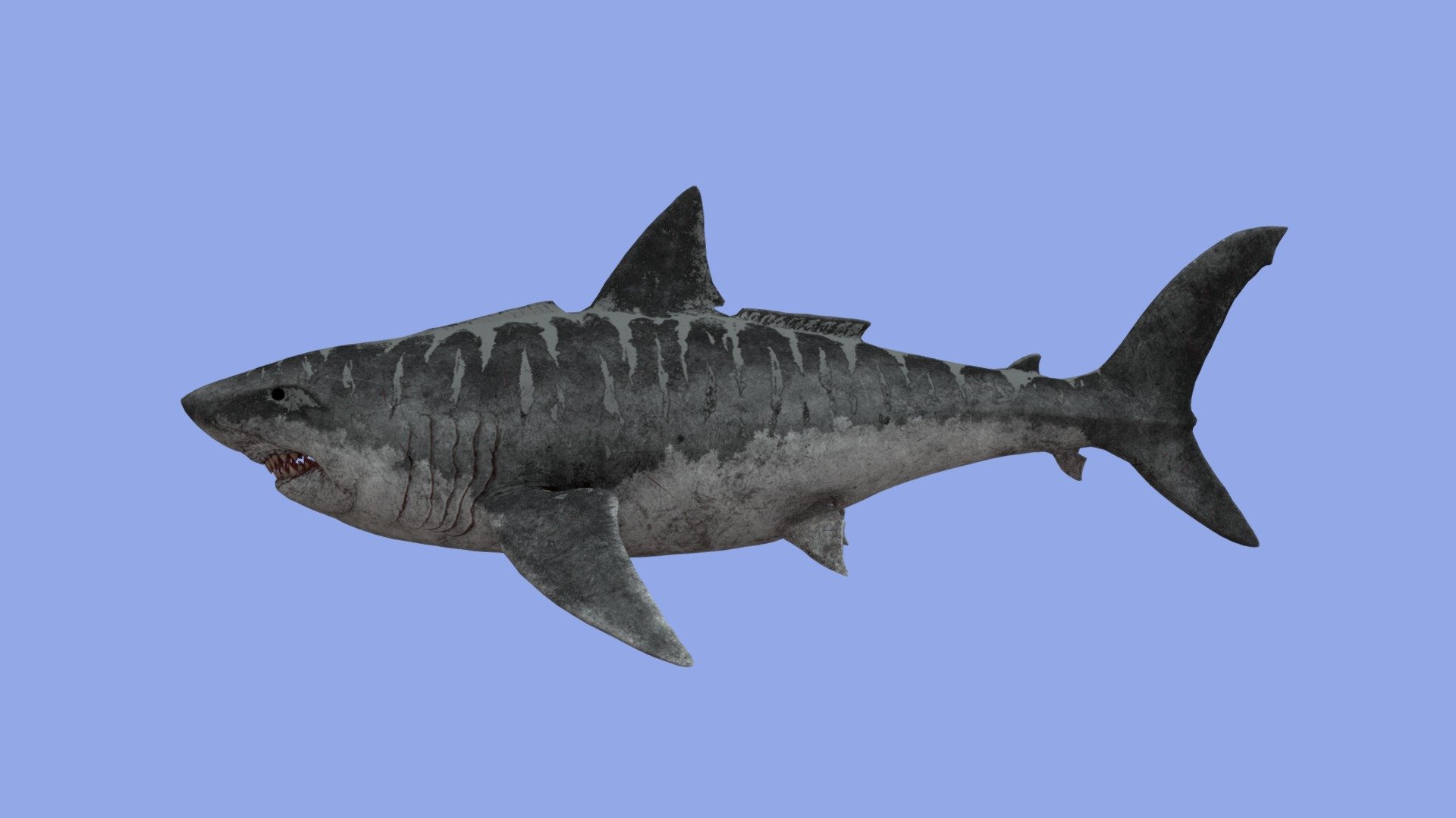 Low poly animated Megalodon full rigged ,textured ,and ready for game engines (UNITY,URNREAL ENGINE) - Megalodon - 3D model by masakizo (@masakizo432) 3d model