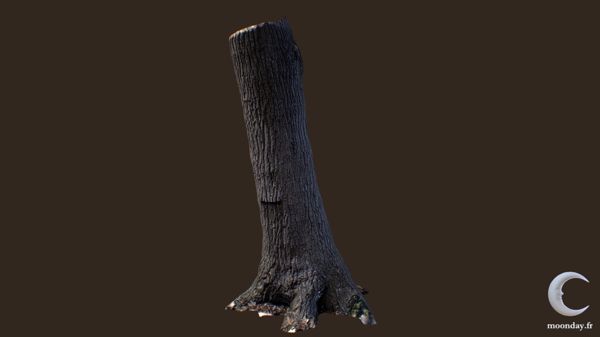 Mesh generated from photogrammetry data, also available in a pack of 12 tree trunks: https://sketchfab.com/3d-models/3d-scanned-tree-trunks-pack-01-989a4a762db44c4384a9262ee63accaf

The mesh comes with 4K Albedo, Specular, Cavity, Normal, Height and AO textures

More information at http://www.blog.moonday.fr/2020/07/sketchfab-store-pack-02.html - 3D scanned Tree trunk 01 - Buy Royalty Free 3D model by 1k0 3d model