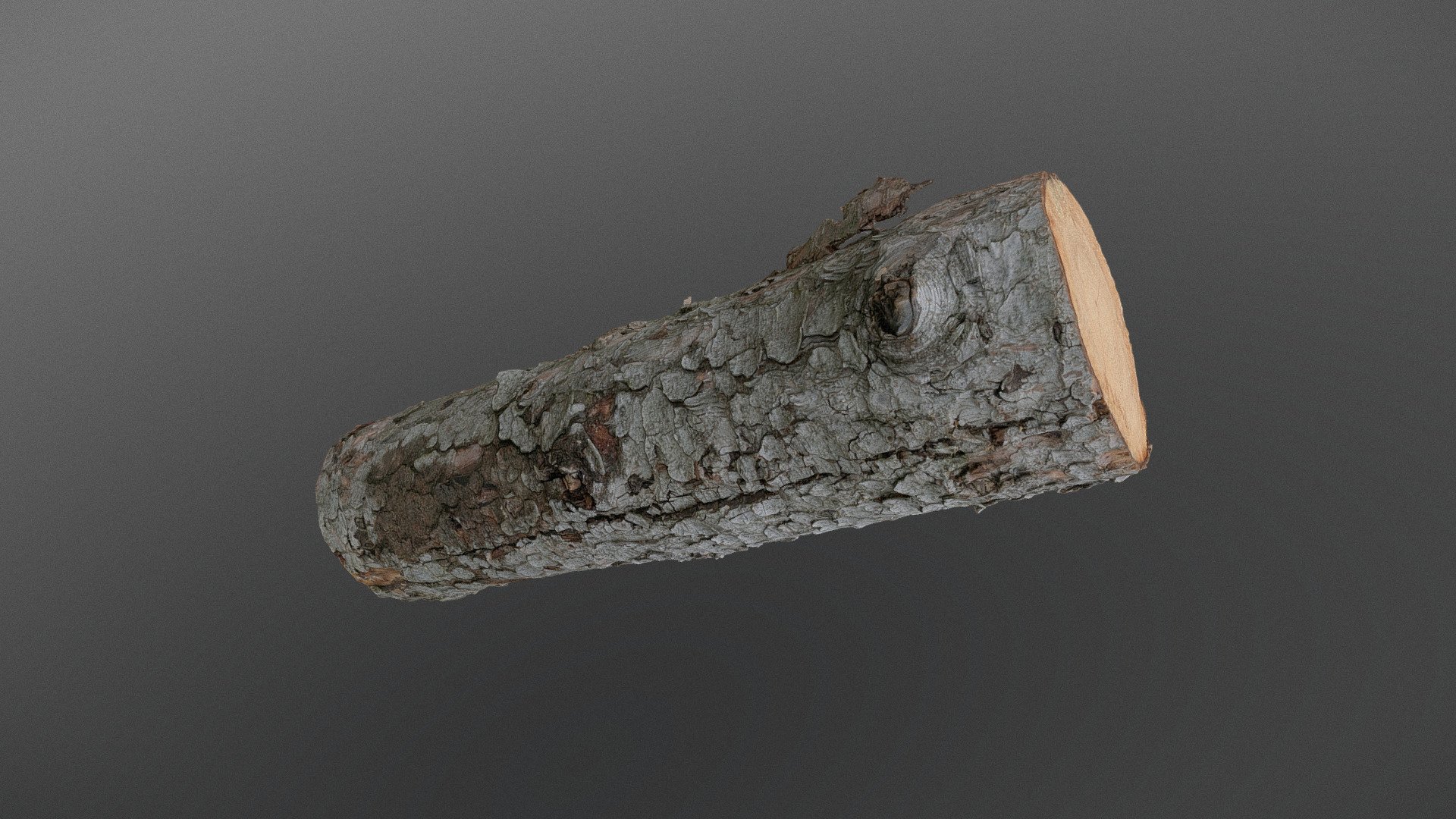Thick spruce pine tree lumber wood log  chopping cut firewood timber lumber material isolated

photogrammetry scan (150x36MP), 3x8K textures - Spruce log - Buy Royalty Free 3D model by matousekfoto 3d model