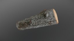 Spruce log tree, 3d-scan, medieval, timber, piece, 3d-scanning, lumber, firewood, authentic, chop, aye, countryside, chopped, woodpile, medievalfantasyassets, photoscan, photogrammetry, asset, game, wood, village, ue5