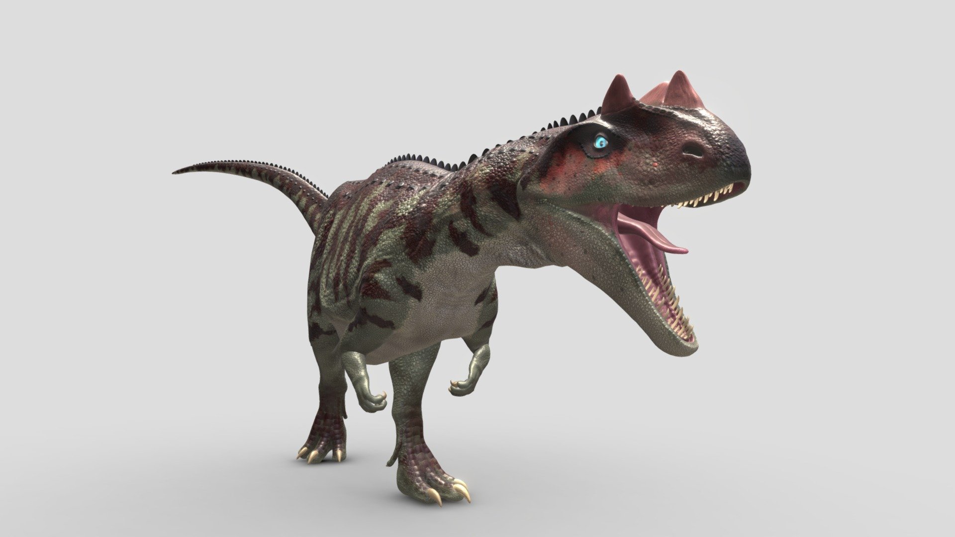 Ceratosaurus - 3D model by Kakeru Fujimiya (@K_Fujimiya) 3d model