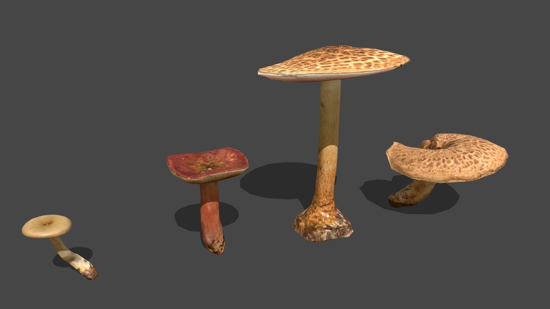 Mushroom  number 17, 18, 19 and 20

2k sized texture (base color, roughness, normal map, translucent)

Quad topology (easily subdivided)



Contains the raw scans in the additional file (obj format)



Also available in this pack



Made with Metashape, Blender, Materialize and Subtance painter



If you have any questions, contact me.

 
 

 - Mushroom_17&18&19&20 - Buy Royalty Free 3D model by Zacxophone 3d model