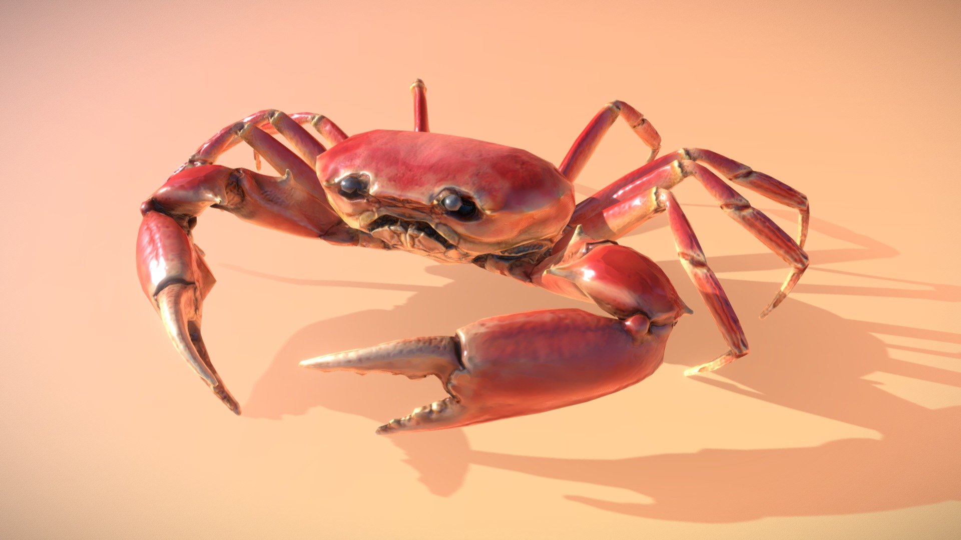 Crab creature made for the VR game in development, called Shorecut - Crab - 3D model by madseb 3d model