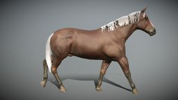 Horse Walk pet, walking, brown, horses, farm, walkcycle, walk_cycle, horse, animal, animation, horsewalk