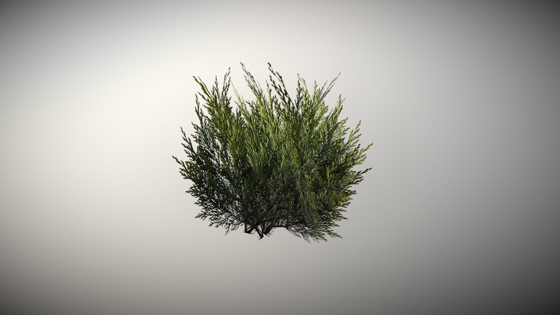 Simple bush model.. think more than me need it&hellip;

also be sure to support us and set our game on your wishlist, means a lot:
https://store.steampowered.com/app/2075640/DA_PAPER_BOY/ - bush - Download Free 3D model by Thunder (@thunderpwn) 3d model
