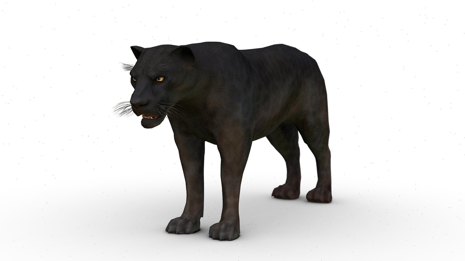 NOTE! Download the ” Additional File ” to get all file. Such as, Blend file ( Rigged &amp; Unrigged ), Fbx file, GLB file and all texture set!

|| PRODUCT DESCRIPTION ||
-This is a model of a Black Panther
-Originally created with Blender
-Model resolutions are optimized for polygon efficiency
-The model is fully textured with all materials applied.

This model contains ;
Static model, 
Bonus Rig model (using rigify blender), 
PBR Texture (Diffuse, Rougness, Metallic, Nomal Map and Heightmap) and blender principled bsdf texture set

|| USAGE ||

-This model is suitable for use in your game, film, advertising, AR/VR, Presentation, etc.

|| SPECS ||

Polycount (Quads)
Vertices 6,731 Faces 6,661 Triangles 12,680 - 3D Black Panther - Buy Royalty Free 3D model by Animabyfad 3d model