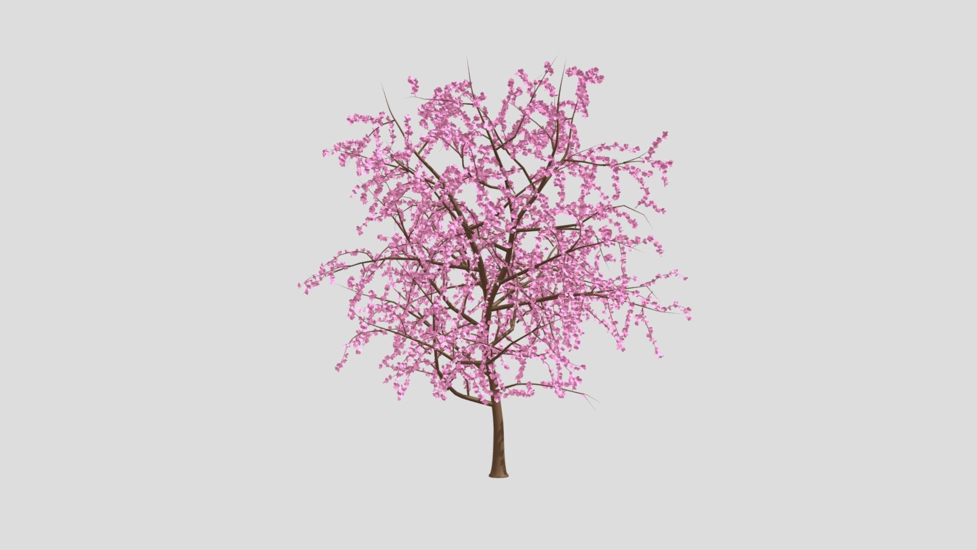 Textures: 1024 × 1024, Colors on texture: Pink and brown.

Materials: 1 - Blossom Tree

Smooth shaded.

Non-Mirrored.

Subdivision Level: 0

Origin located on bottom-center.

Rigged.

Polygons: 204158

Vertices: 165960

Formats: Fbx, Obj, Stl, Dae.

I hope you enjoy the model! - Blossom Tree - Buy Royalty Free 3D model by Ed+ (@EDplus) 3d model