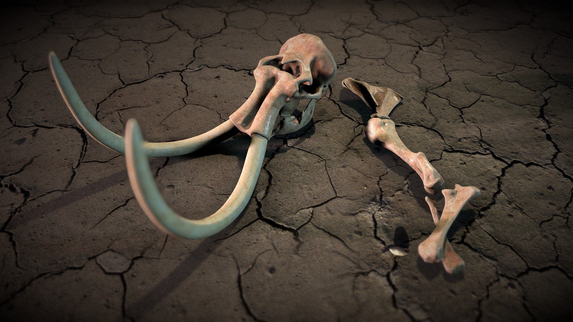 Steppe_mammoth_skull - 3D model by Drimtry 3d model
