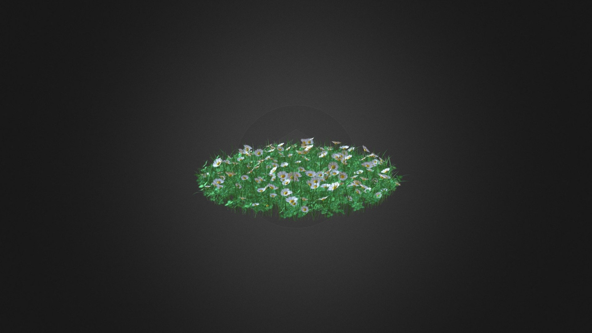 Round shaped grass with some clover and daisy (Bellis perennis) flowers 3d model. Diameter: 100cm. Compatible with 3ds max 2010 or higher, Cinema 4D and many more 3d model