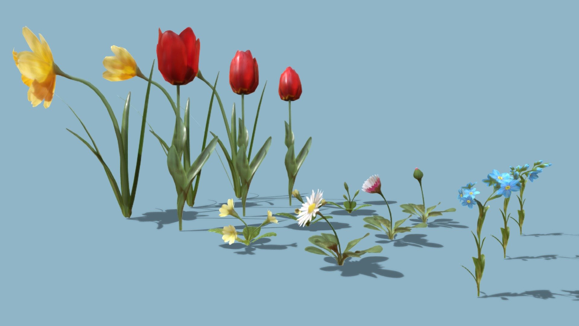 This pack contains 5 animated flowers with 1 blooming animation each, they are also available individually (link below):




Jonquil

Red Tulip

Primula (Primula vulgaris)

Daisy (Bellis perennis)

Myosotis (Myosotis alpestris)

To see their blooming animation, click on the corresponding link above. 


Please download the additional files (available in the dowload section), to have access to the animated models.




If you have any questions, do not hesitate to contact me.

 
 

 - Blooming Flowers Pack - Buy Royalty Free 3D model by Zacxophone 3d model