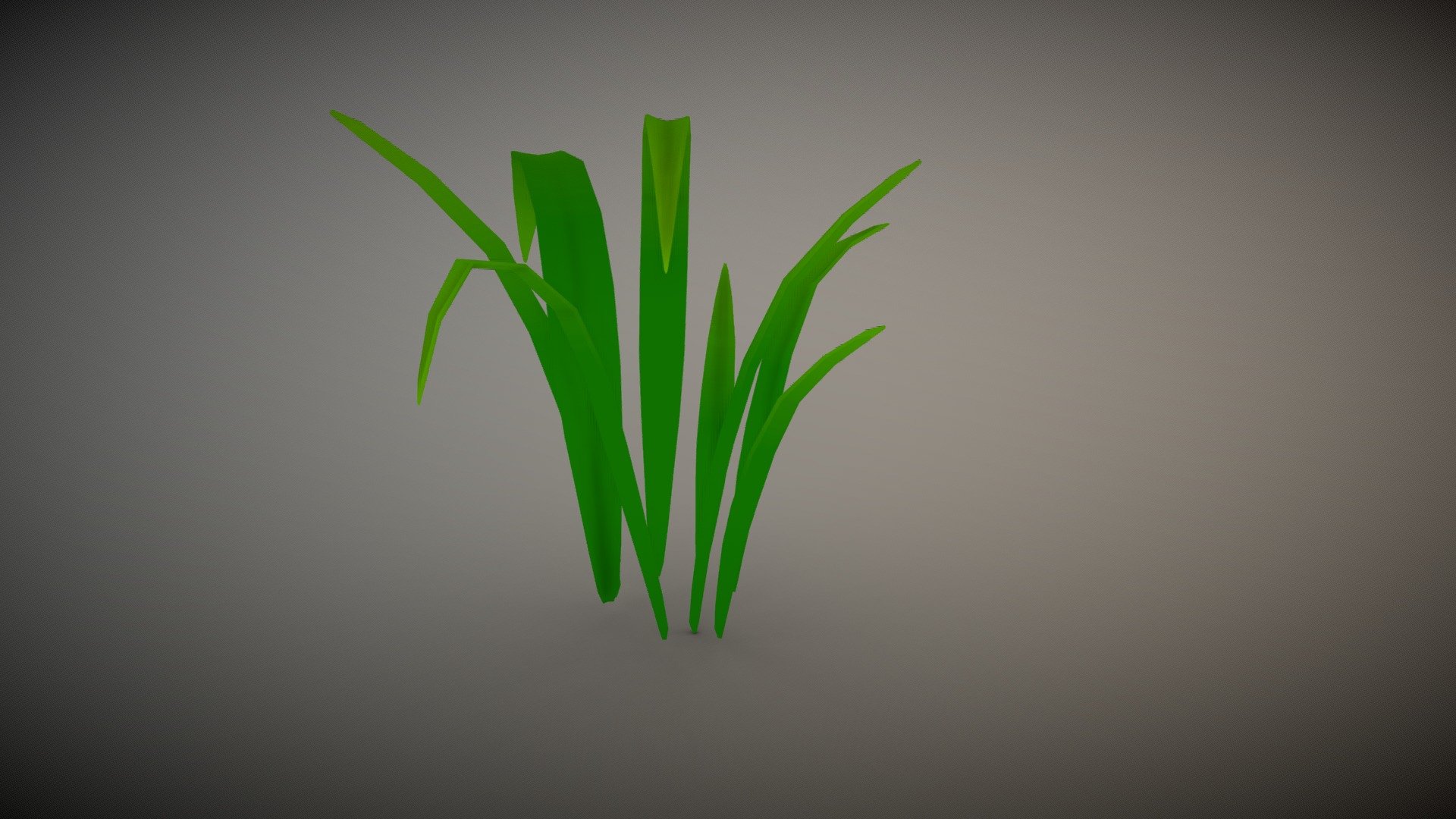 This is a 3D modeled grass clump asset that I created in Maya. The diffuse color map is a green gradient created in Photoshop. The angle of the grass blades make for easily covering small to medium areas. This asset is also modular and can be used in various different environmental situations 3d model