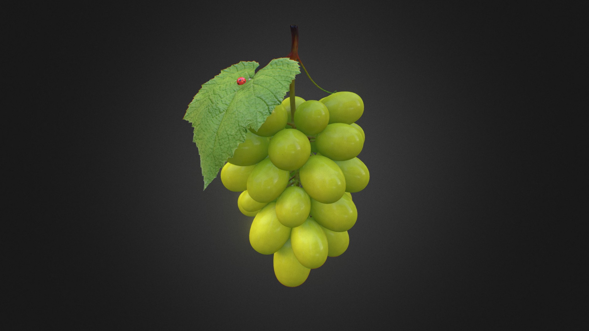 Green Grapes and ladybug animated - Green Grapes - 3D model by rubykamen 3d model