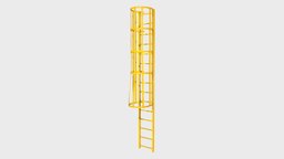 Modular ladder with cage