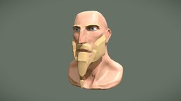 Stylised Norse Head Bust