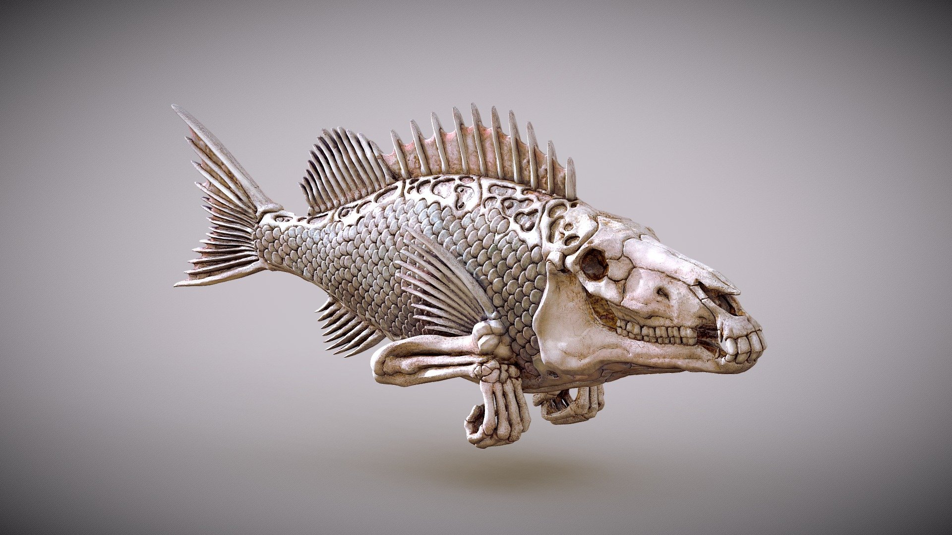 continuation of the fish theme .... 3d model inspired from wall art - noname artist - FISHHead2 - 3D model by Alex Dubnoff (@alexdubnoff) 3d model