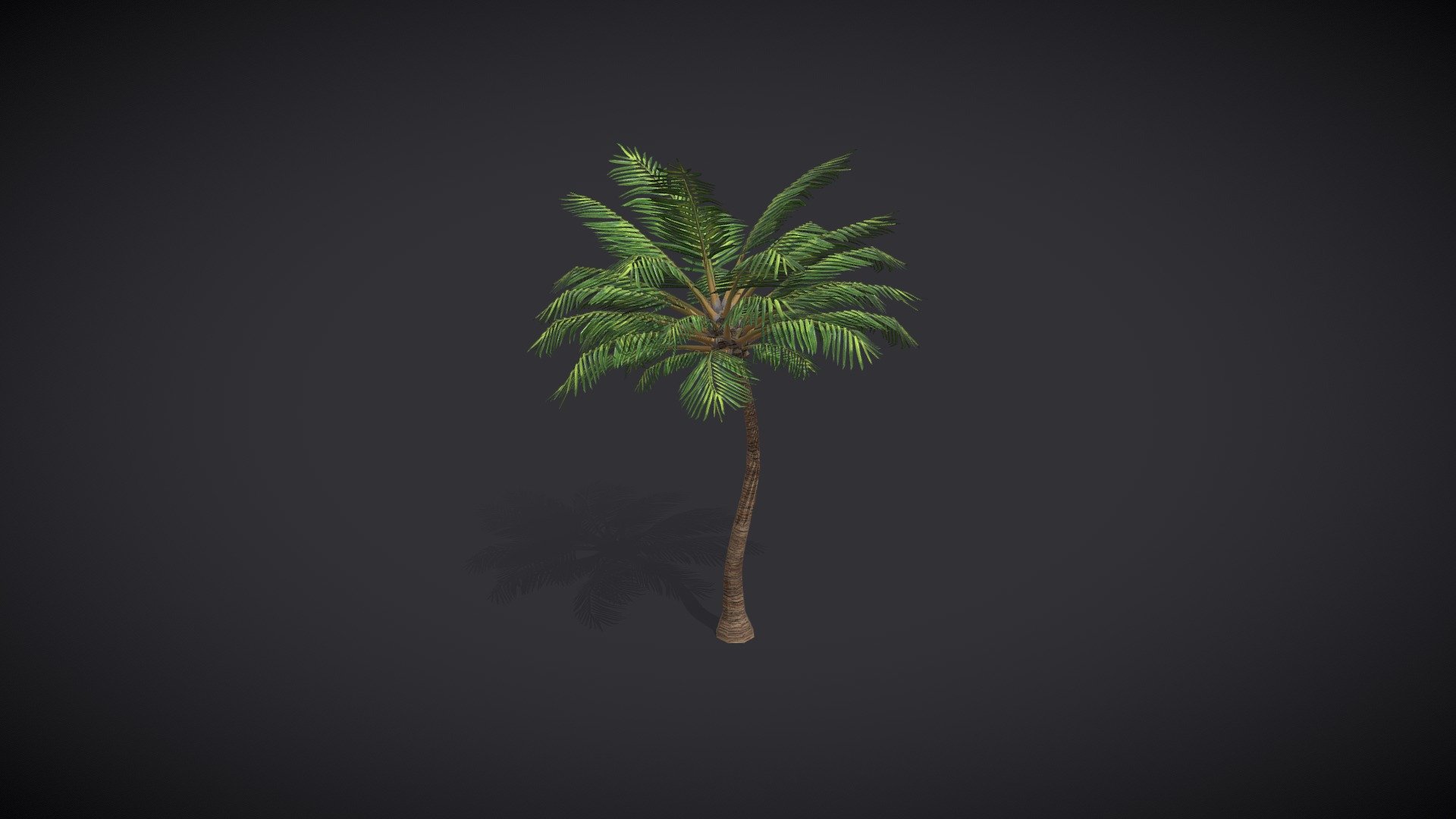 Greek Villa - Asset Pack


Palm Tree

StellarX© 2022 - Palm Tree - Buy Royalty Free 3D model by StellarX 3d model