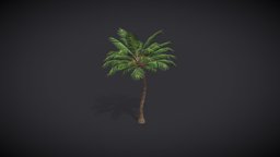 Palm Tree trees, tree, plant, greek, plants, villa, palm, vegetation, southern