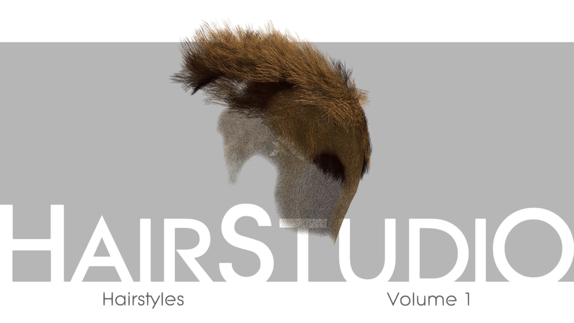 Full/Messy/Classic HairStyle from HairStudio Vol.01. 

Please see &ldquo;annotations