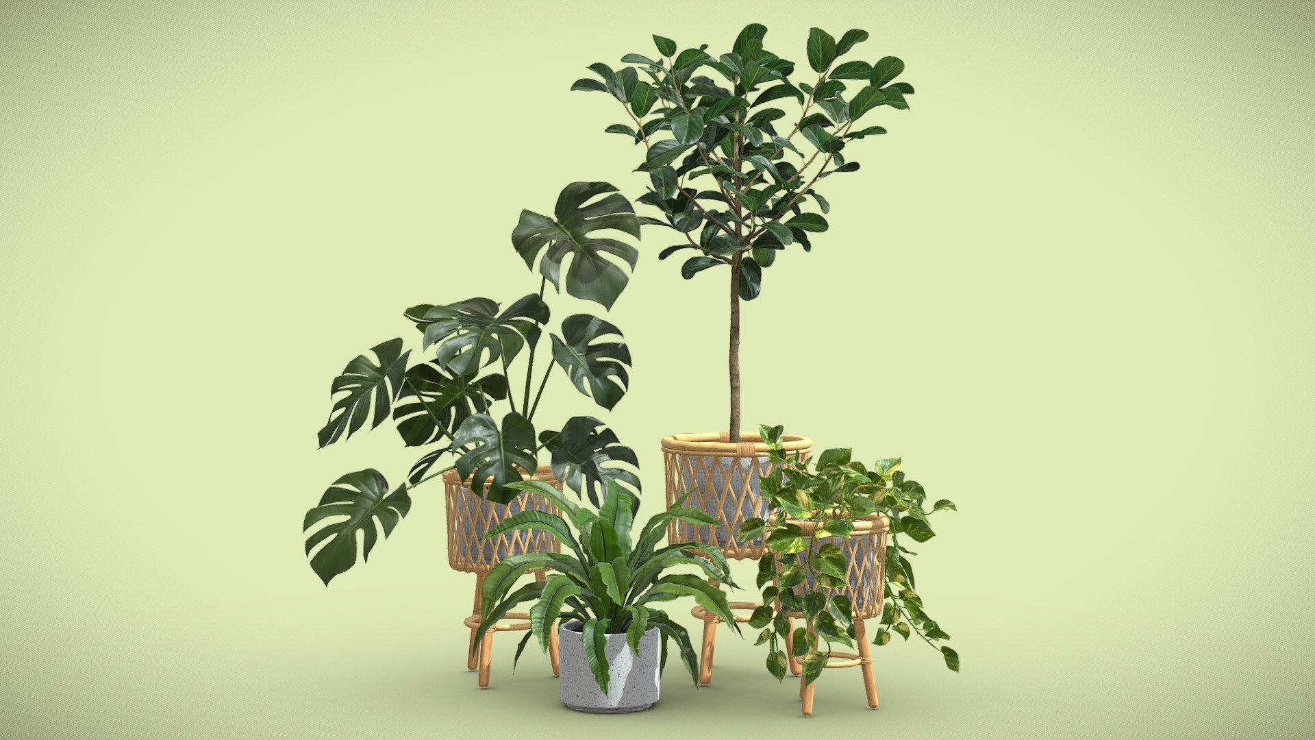 Indoor Plants Pack 57

This selection of indoor exotic plants will provide a level of detail that will take your visualizations to the next level.

Models can be subdivided for more definition.




Monstera Deliciosa

Pothos

Aplenium Nidus

Ficus Audrey

4k Textures




Vertices  176 499

Polygons  170 830

Triangles 329 855
 - Indoor Plants Pack 57 - Buy Royalty Free 3D model by AllQuad 3d model