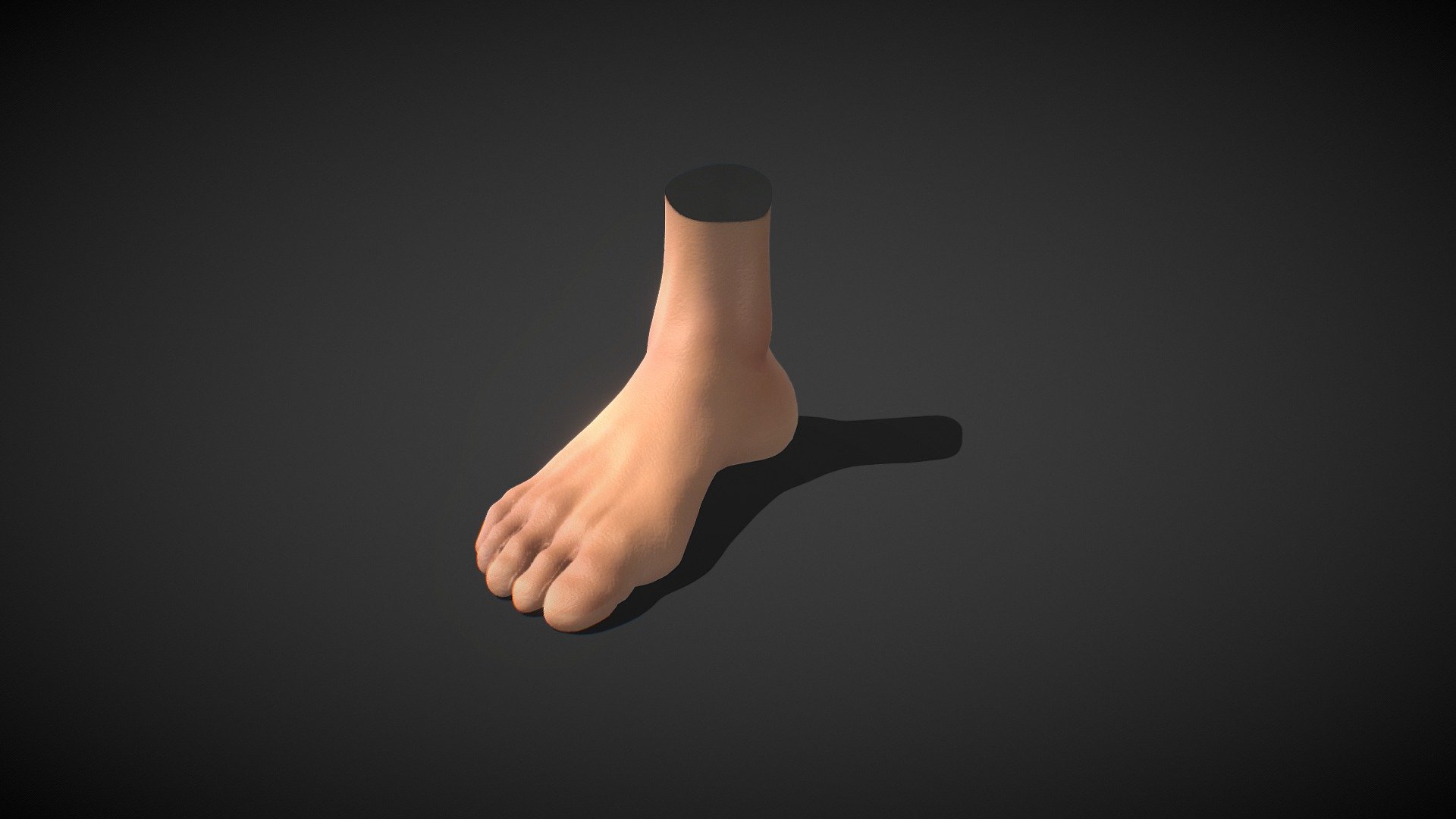 Full Male Body parts pack  is available here - https://skfb.ly/o8EXW

Female Version - https://skfb.ly/o8XWu

A Fit male Anatomical Foot with Basic Textures.
Perfect for simulating tattoos and use in Procreate 3D

For Procreate Make sure to download and use the USDZ file if you want to automatically load the model with color texture, otherwise use the OBJ - Fit Male Anatomy - Foot base mesh - Buy Royalty Free 3D model by Deftroy 3d model
