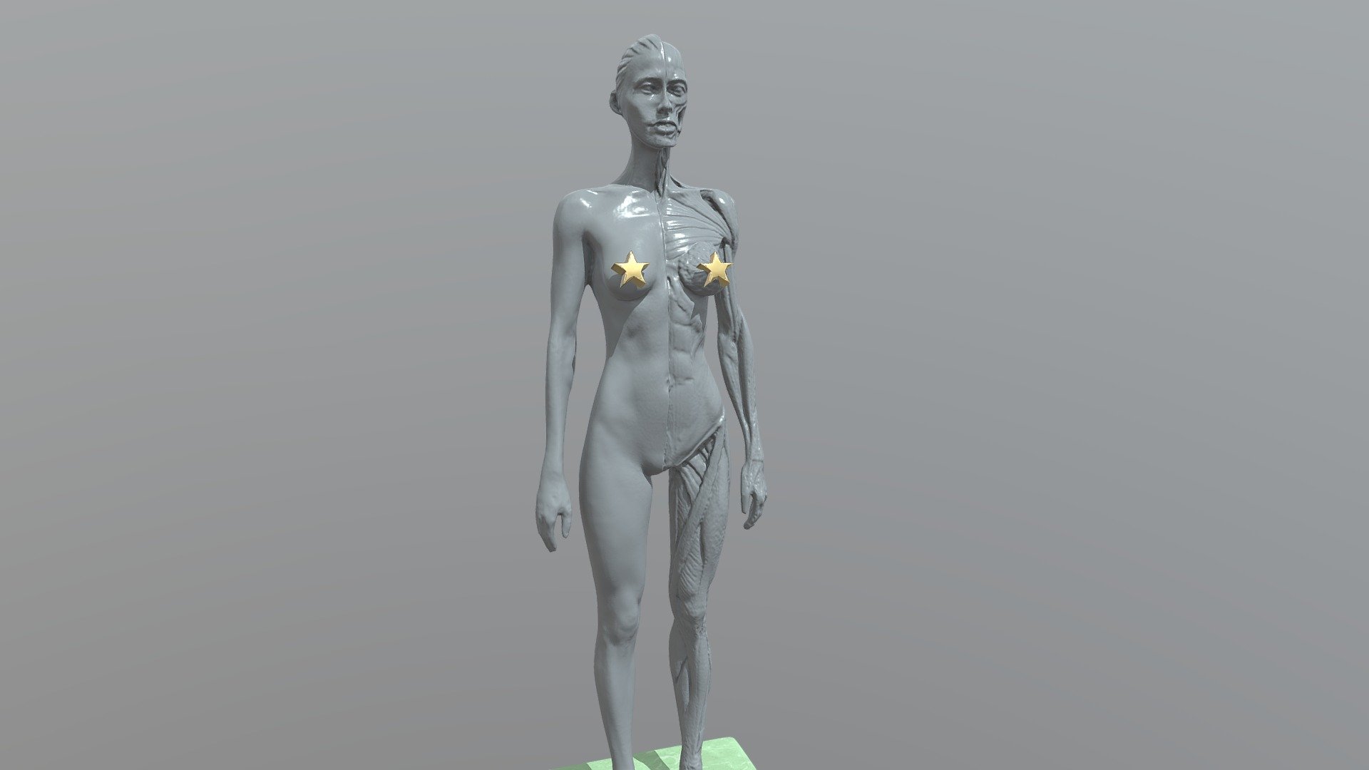 Female anatomy scann - 3D model by The Kala Ce (@harishrbat987) 3d model