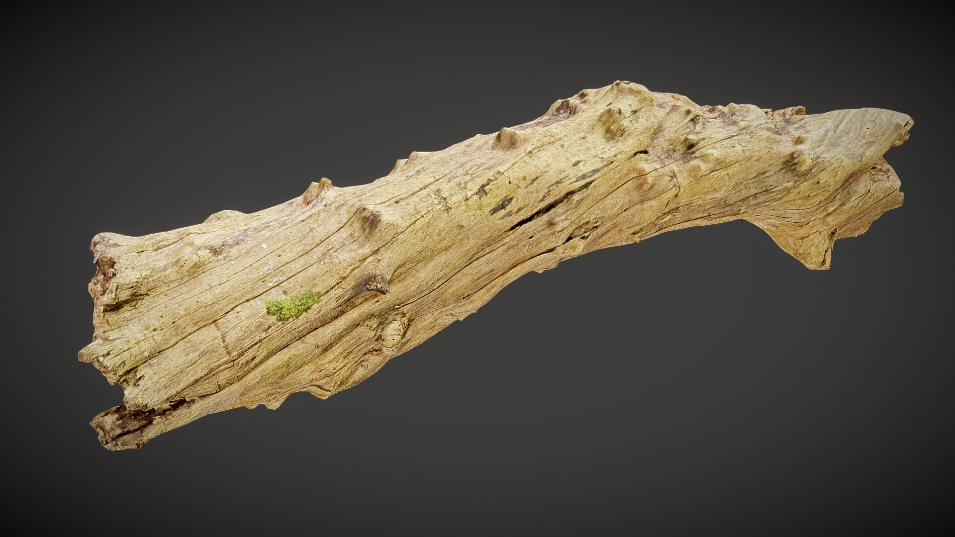 This model is perfect for 3D printing and film making, you can use it for game but it need a bit of decimation to be applied as scatter/particle distribution.



Aspect:

dride texture

Scale, about 1.20 meter long 

Included 8K textures
 - Barkless-wood 02 - Buy Royalty Free 3D model by optimuscan 3d model