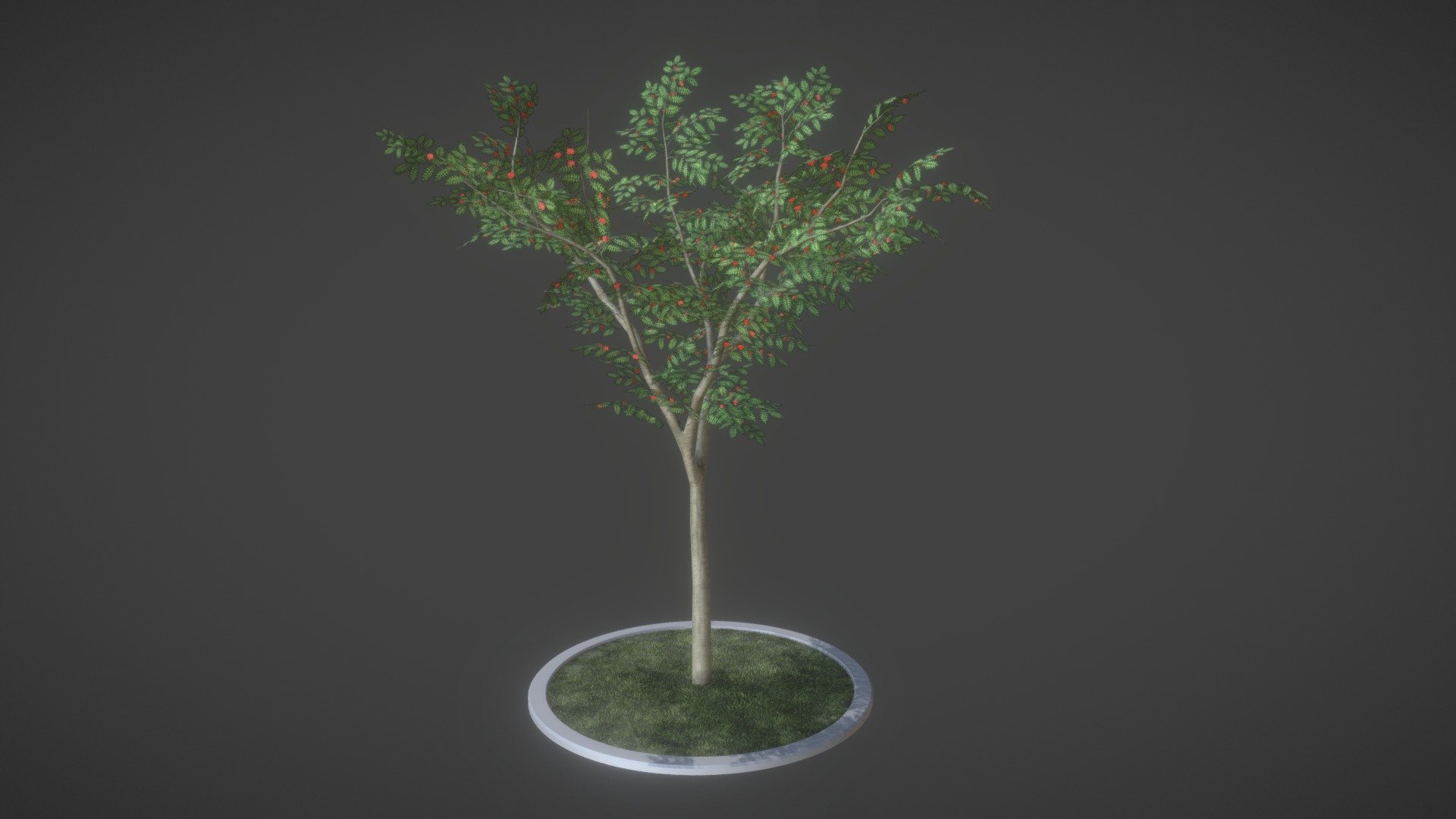 Eberesche 12 Meter Sommer.



Ein 3d-Objekt aus dem VIS-All Baum Module 4 

Modelliert und texturiert in Blender 3d model